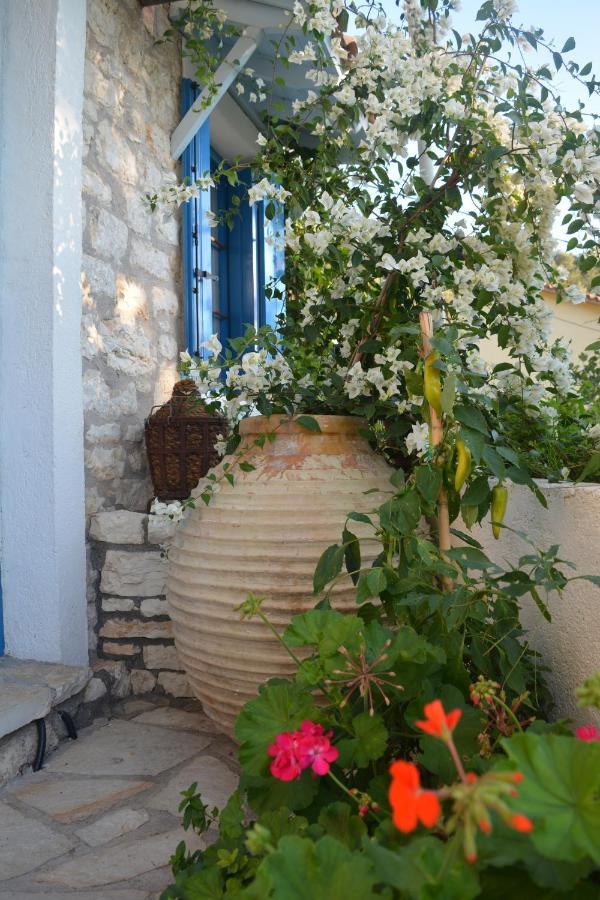 Petrinο Katochori Apartment Katokhorion (Lefkada)